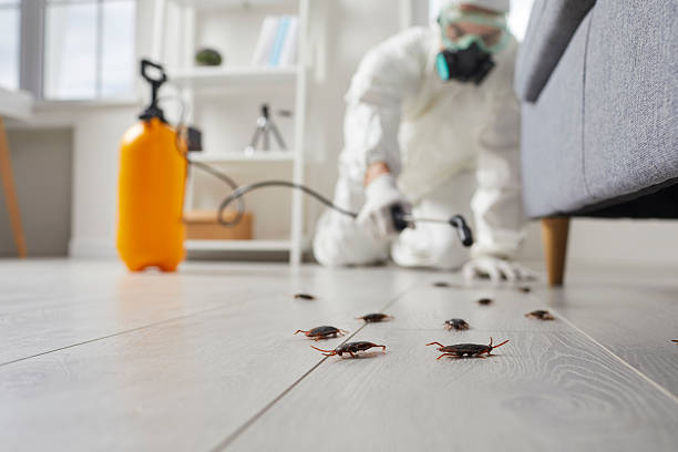 Trusted Rodent Control service in Uniontown, AL - Nex Pest Control